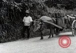 Image of human waste Japan, 1934, second 46 stock footage video 65675025115
