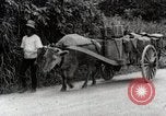 Image of human waste Japan, 1934, second 47 stock footage video 65675025115