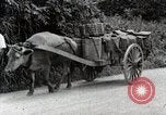 Image of human waste Japan, 1934, second 48 stock footage video 65675025115
