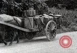 Image of human waste Japan, 1934, second 49 stock footage video 65675025115