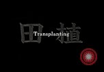 Image of Transplanting Rice Seedlings Japan, 1934, second 3 stock footage video 65675025116