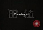 Image of Transplanting Rice Seedlings Japan, 1934, second 4 stock footage video 65675025116