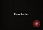 Image of Transplanting Rice Seedlings Japan, 1934, second 5 stock footage video 65675025116