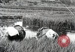 Image of Transplanting Rice Seedlings Japan, 1934, second 7 stock footage video 65675025116