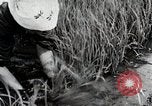 Image of Transplanting Rice Seedlings Japan, 1934, second 38 stock footage video 65675025116