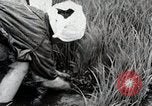 Image of Transplanting Rice Seedlings Japan, 1934, second 43 stock footage video 65675025116