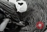 Image of Transplanting Rice Seedlings Japan, 1934, second 45 stock footage video 65675025116
