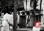 Standbild Shinto Zeremonie Japan, 1935, aus Sekunde 31 historischem Filmmaterial Videoclip 65675025132