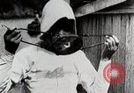 Immagine di Giapponese industria perla Giappone, 1935, secondo 26 filmato di repertorio 65675025135