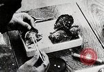 Immagine di Giapponese industria perla Giappone, 1935, secondo 53 filmato di repertorio 65675025135