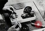 Immagine di Giapponese industria perla Giappone, 1935, secondo 54 filmato di repertorio 65675025135
