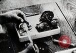 Immagine di Giapponese industria perla Giappone, 1935, secondo 55 filmato di repertorio 65675025135