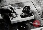 Immagine di Giapponese industria perla Giappone, 1935, secondo 56 filmato di repertorio 65675025135