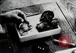 Immagine di Giapponese industria perla Giappone, 1935, secondo 57 filmato di repertorio 65675025135