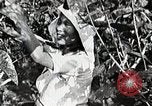 Standbild Japanese Silk Industrie Japan, 1935, aus Sekunde 22 historischem Filmmaterial Videoclip 65675025136