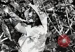 Standbild Japanese Silk Industrie Japan, 1935, aus Sekunde 23 historischem Filmmaterial Videoclip 65675025136