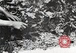 Standbild Japanese Silk Industrie Japan, 1935, aus Sekunde 24 historischem Filmmaterial Videoclip 65675025136