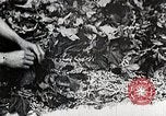 Standbild Japanese Silk Industrie Japan, 1935, aus Sekunde 25 historischem Filmmaterial Videoclip 65675025136