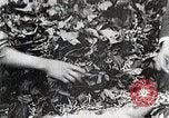 Standbild Japanese Silk Industrie Japan, 1935, aus Sekunde 26 historischem Filmmaterial Videoclip 65675025136