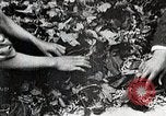 Standbild Japanese Silk Industrie Japan, 1935, aus Sekunde 27 historischem Filmmaterial Videoclip 65675025136