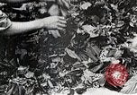 Standbild Japanese Silk Industrie Japan, 1935, aus Sekunde 28 historischem Filmmaterial Videoclip 65675025136