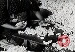Standbild Japanese Silk Industrie Japan, 1935, aus Sekunde 34 historischem Filmmaterial Videoclip 65675025136