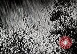 Standbild Japanese Silk Industrie Japan, 1935, aus Sekunde 56 historischem Filmmaterial Videoclip 65675025136