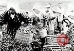 Standbild Tee Japan, 1935, aus Sekunde 19 historischem Filmmaterial Videoclip 65675025137