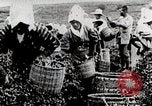 Standbild Tee Japan, 1935, aus Sekunde 20 historischem Filmmaterial Videoclip 65675025137