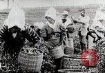 Standbild Tee Japan, 1935, aus Sekunde 22 historischem Filmmaterial Videoclip 65675025137