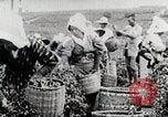 Standbild Tee Japan, 1935, aus Sekunde 23 historischem Filmmaterial Videoclip 65675025137