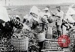 Standbild Tee Japan, 1935, aus Sekunde 24 historischem Filmmaterial Videoclip 65675025137
