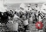 Standbild Tee Japan, 1935, aus Sekunde 25 historischem Filmmaterial Videoclip 65675025137