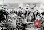 Standbild Tee Japan, 1935, aus Sekunde 26 historischem Filmmaterial Videoclip 65675025137