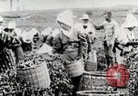 Standbild Tee Japan, 1935, aus Sekunde 27 historischem Filmmaterial Videoclip 65675025137