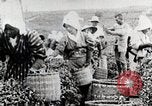 Standbild Tee Japan, 1935, aus Sekunde 29 historischem Filmmaterial Videoclip 65675025137