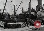 Image of Cotton Japan, 1935, second 18 stock footage video 65675025138