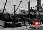Image of Cotton Japan, 1935, second 19 stock footage video 65675025138