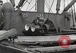 Image of Cotton Japan, 1935, second 20 stock footage video 65675025138
