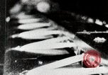 Image of Cotton Japan, 1935, second 33 stock footage video 65675025138