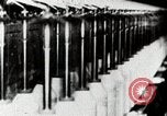 Image of Cotton Japan, 1935, second 35 stock footage video 65675025138