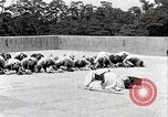 Image of Kendo Training at Methodist mission's Hirosaki Boys' School Honshu Japan, 1935, second 4 stock footage video 65675025141