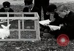 Standbild Kunst Klasse auf Hirosaki Boys' School Honshu Japan, 1935, aus Sekunde 10 historischem Filmmaterial Videoclip 65675025144