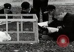 Standbild Kunst Klasse auf Hirosaki Boys' School Honshu Japan, 1935, aus Sekunde 14 historischem Filmmaterial Videoclip 65675025144