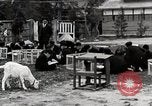 Standbild Kunst Klasse auf Hirosaki Boys' School Honshu Japan, 1935, aus Sekunde 44 historischem Filmmaterial Videoclip 65675025144