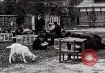 Standbild Kunst Klasse auf Hirosaki Boys' School Honshu Japan, 1935, aus Sekunde 46 historischem Filmmaterial Videoclip 65675025144