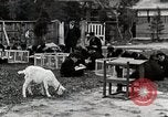 Standbild Kunst Klasse auf Hirosaki Boys' School Honshu Japan, 1935, aus Sekunde 47 historischem Filmmaterial Videoclip 65675025144