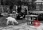Standbild Kunst Klasse auf Hirosaki Boys' School Honshu Japan, 1935, aus Sekunde 48 historischem Filmmaterial Videoclip 65675025144