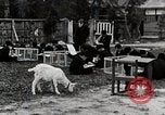 Standbild Kunst Klasse auf Hirosaki Boys' School Honshu Japan, 1935, aus Sekunde 49 historischem Filmmaterial Videoclip 65675025144