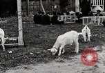 Standbild Kunst Klasse auf Hirosaki Boys' School Honshu Japan, 1935, aus Sekunde 57 historischem Filmmaterial Videoclip 65675025144